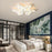 New Design Acrylic Modern Led Ceiling Lights