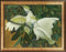 Modern Animal Wall Art Painting